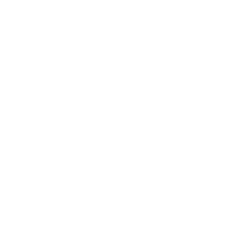Logo Cat - Les Braves