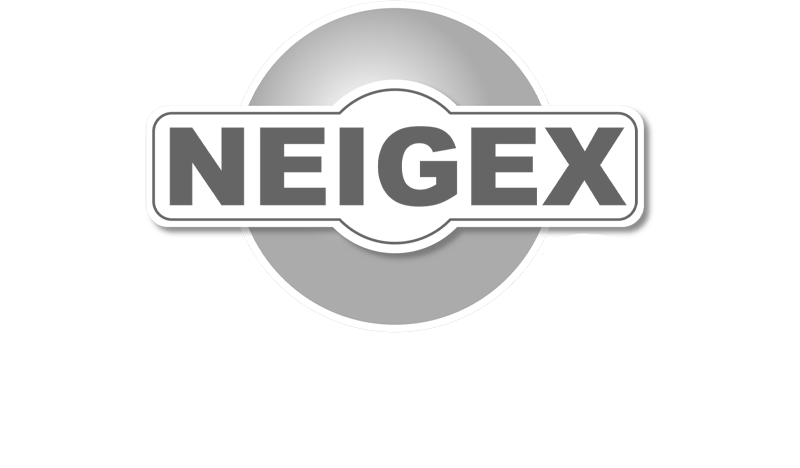 Logo Neigex - Les Braves